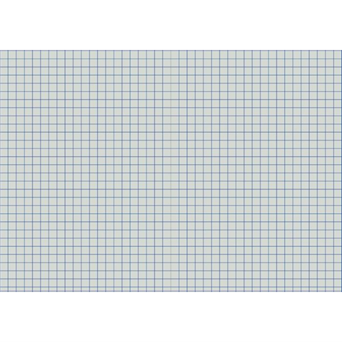 10mm Grid png